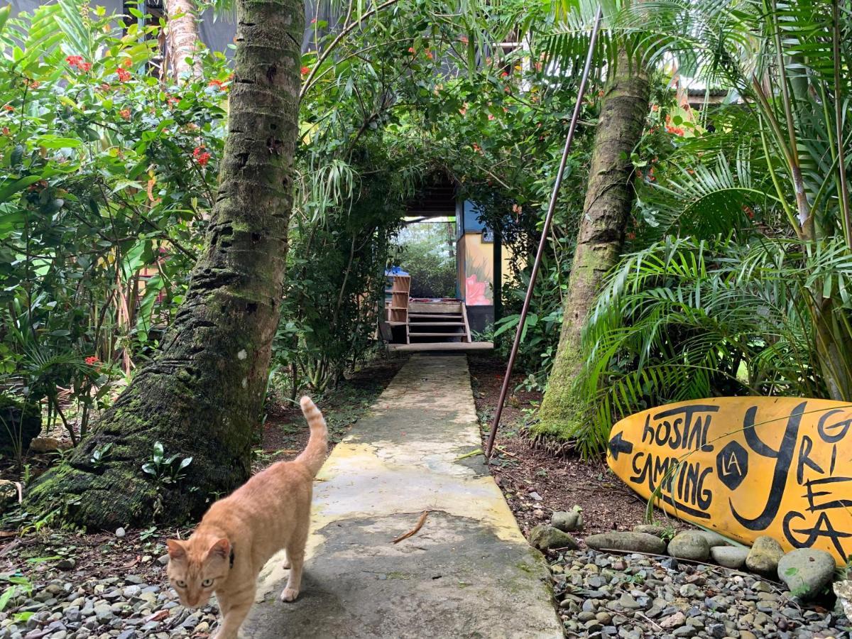 Surf Camp Hotel Bocas Town Luaran gambar