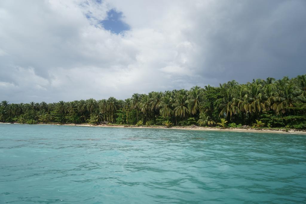 Surf Camp Hotel Bocas Town Luaran gambar