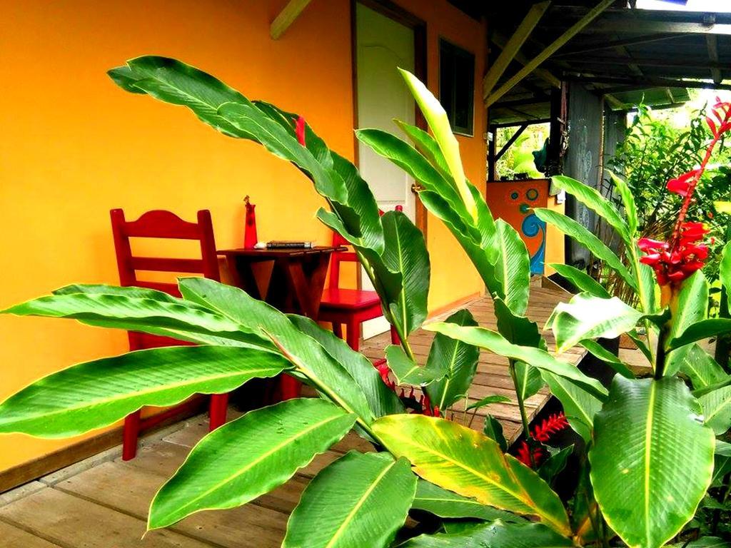 Surf Camp Hotel Bocas Town Luaran gambar